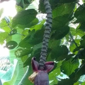 Meet your Posher, Arul